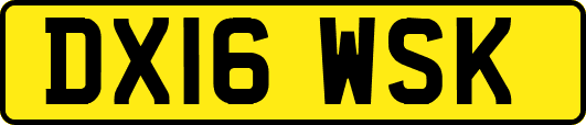 DX16WSK