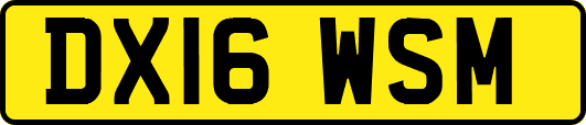 DX16WSM