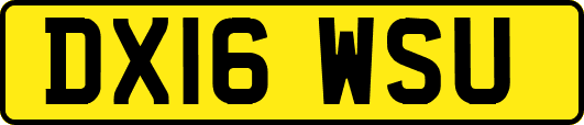 DX16WSU