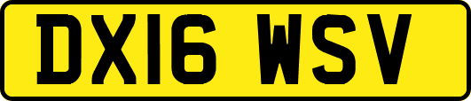 DX16WSV