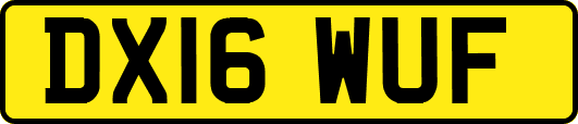 DX16WUF