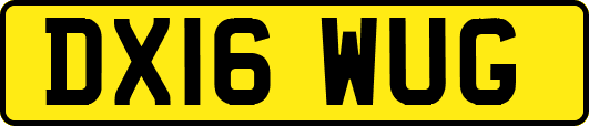 DX16WUG