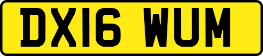 DX16WUM