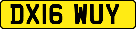 DX16WUY
