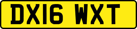 DX16WXT
