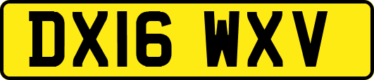 DX16WXV