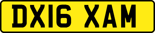 DX16XAM