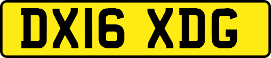 DX16XDG