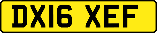 DX16XEF
