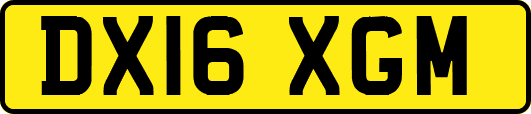DX16XGM