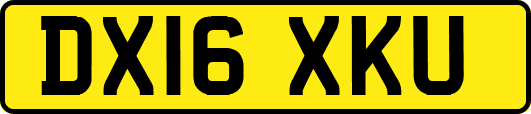 DX16XKU