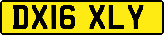 DX16XLY