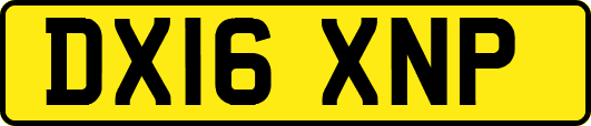 DX16XNP