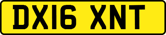 DX16XNT