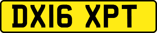 DX16XPT