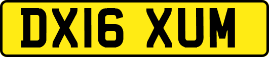 DX16XUM