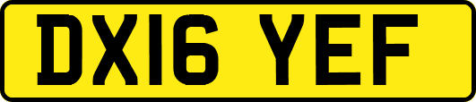 DX16YEF