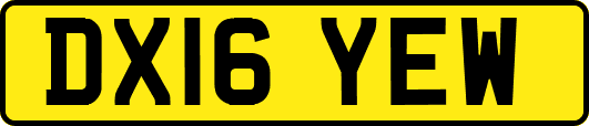 DX16YEW
