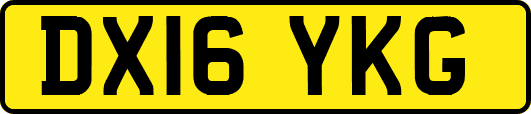 DX16YKG