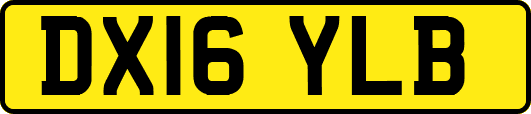 DX16YLB