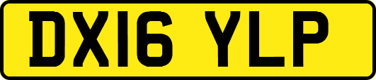 DX16YLP
