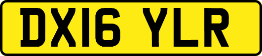 DX16YLR