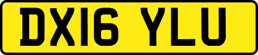 DX16YLU