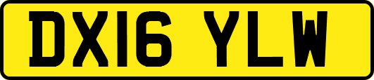 DX16YLW