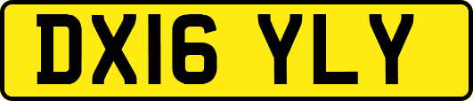 DX16YLY