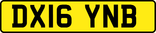 DX16YNB