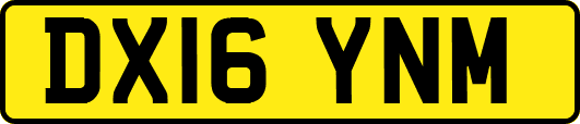 DX16YNM
