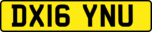 DX16YNU