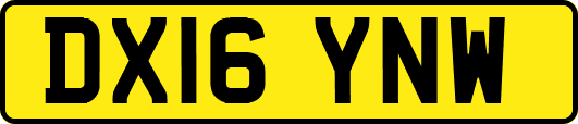 DX16YNW