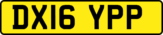 DX16YPP