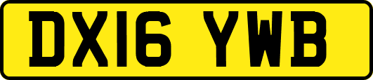 DX16YWB