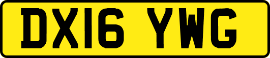 DX16YWG