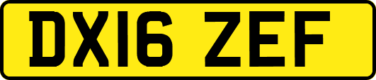 DX16ZEF