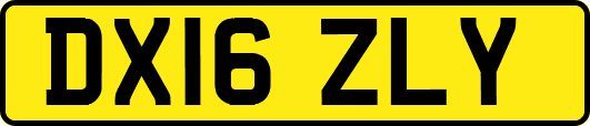 DX16ZLY