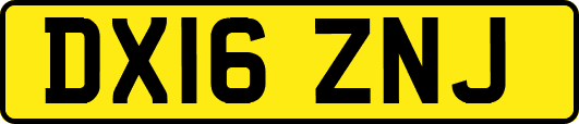 DX16ZNJ