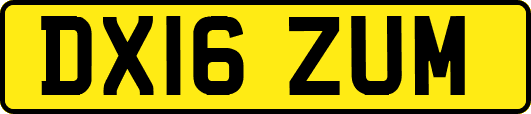 DX16ZUM