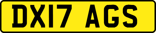 DX17AGS