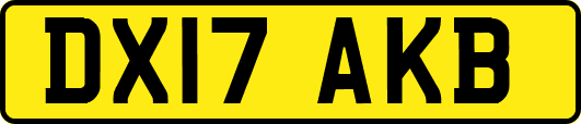 DX17AKB