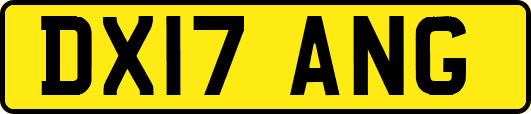 DX17ANG