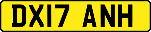 DX17ANH