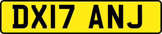 DX17ANJ