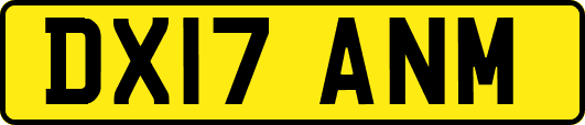 DX17ANM