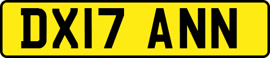 DX17ANN