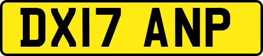 DX17ANP