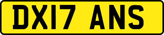 DX17ANS