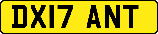 DX17ANT